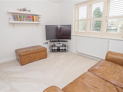 Picture 27